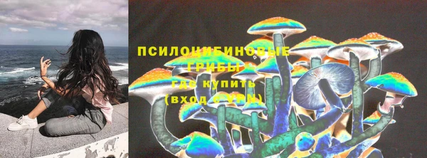 мдпв Верхний Тагил
