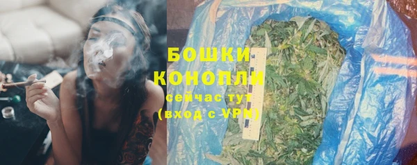мдпв Верхний Тагил