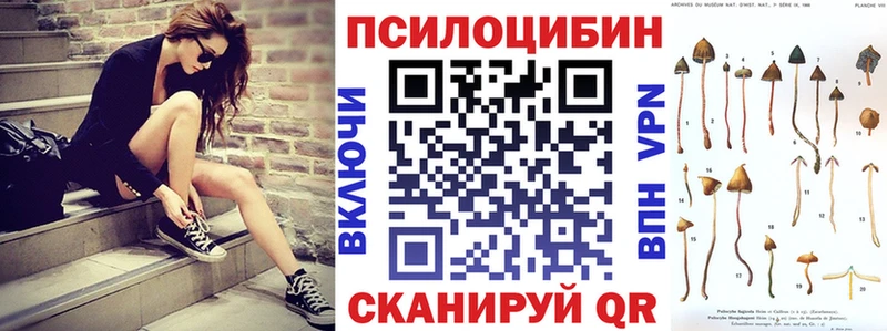 Галлюциногенные грибы ЛСД  Северобайкальск 